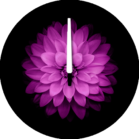 454_454gif 动态图 动图