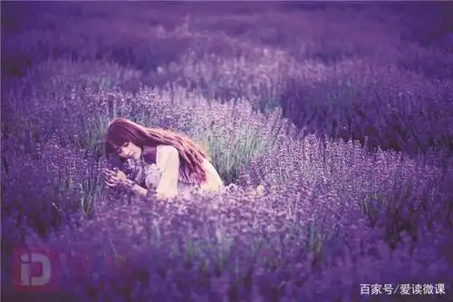 旅拍好去处:童话般的紫色世界——伊犁薰衣草基地