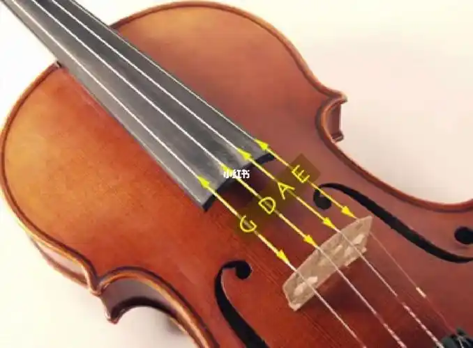 小提琴琴弦基本知识_小提琴_银丝_音响_蚕丝_娱乐_音乐_音乐其他