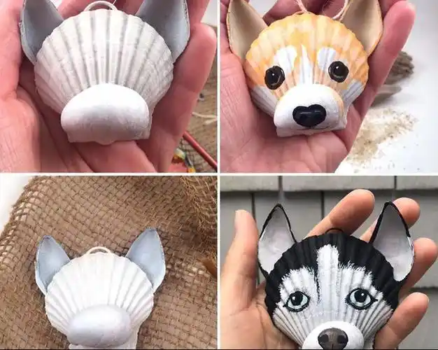 夏天到了当然不能错过玩贝壳啦这10几种好看好玩创意diy陪娃做起来