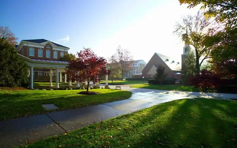 别墅外清晨的美景摄影高清电脑桌面壁纸