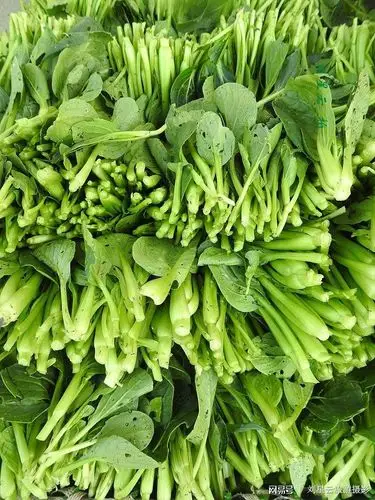 西塘农贸市场江浙沪游客爱买有虫洞的青菜,上海人会生活