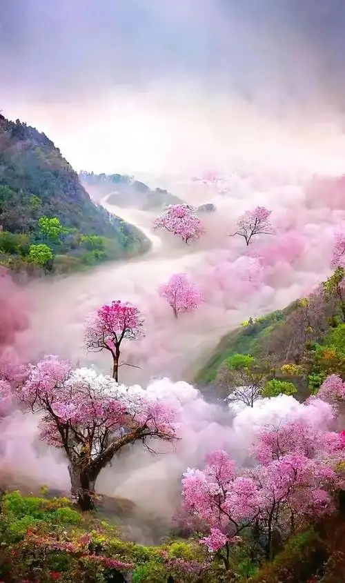 世外桃源找到了