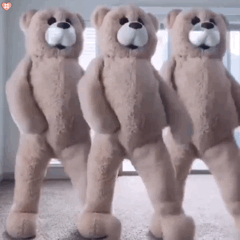 跳舞小熊表情包动图