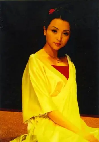 资料话剧我爱桃花演员白荟饰张婴妻