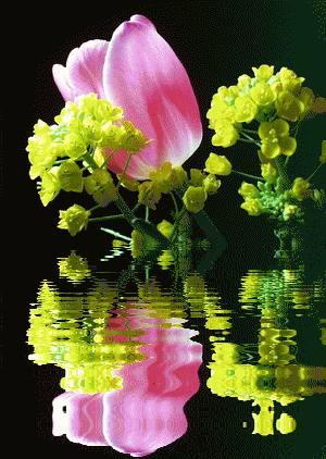 300_422竖版 竖屏gif 动态图 动图