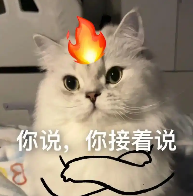 《我倒要看看你能放出什么好屁》 #猫咪表情包#  #猫咪