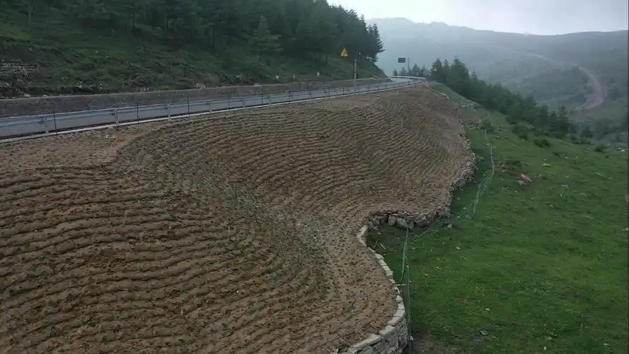 山西省五台山国有林管理局亚高山草甸生态修复治理工作纪实