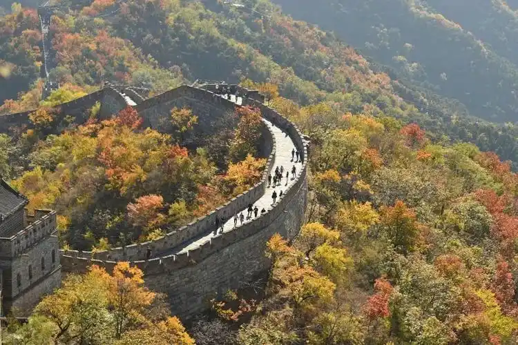 深秋时节,北京市怀柔区慕田峪长城层林尽染,景色迷人(2019年10月31日