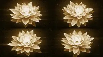 抽象莲花背景佛光莲花莲台金色3d旋转莲花