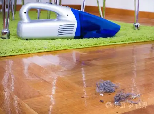在地板上的灰尘.打扫房子