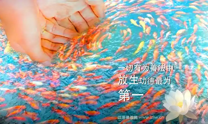 弘一大师:放生与杀生之果报