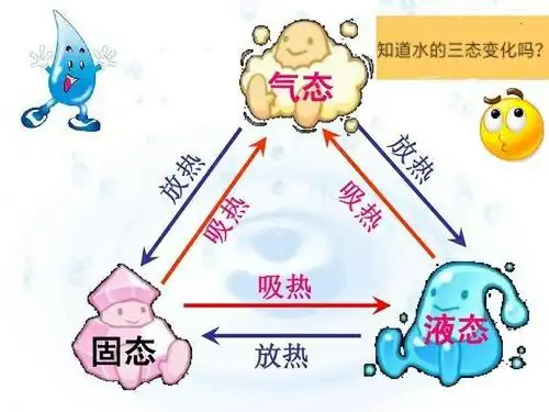 小福星撒欢"闹大年"