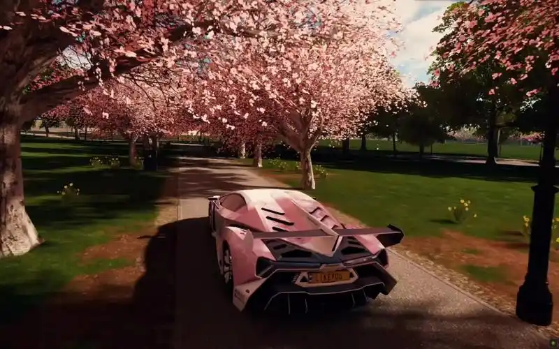 地平线4樱花小道