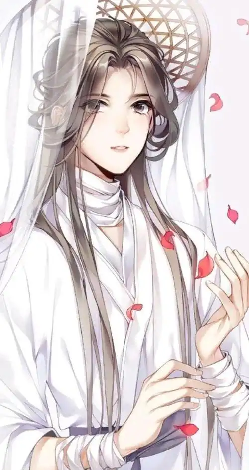 墨香铜臭的《天官赐福》又被质疑抄袭