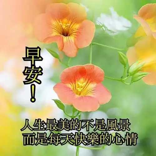 早上好表情图(6) - 美篇