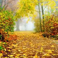 qq头像小清新唯美景物优美的风景头像图片