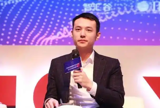 他的两个儿子,霍启中和霍启文,虽然都有可能继承家族产业,但霍启中的