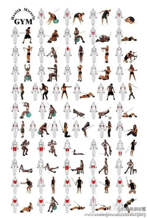 健身动作大全,这个真的很全!