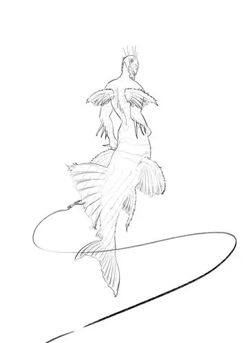 梦中物|插画|创作习作|黑白阳 - 原创作品 - 站酷 (zcool)