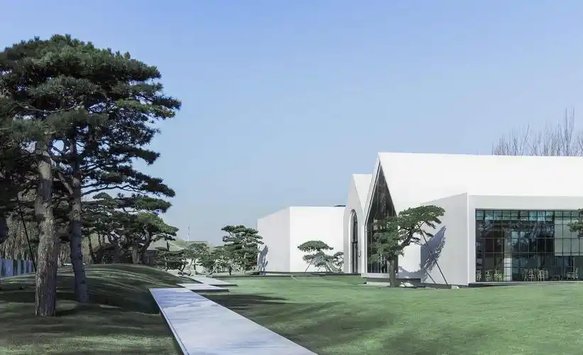 讲述植物与建筑的关系 | 以国家美术·年度十大机构——松美术馆为例_