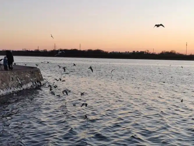 天津滨海老码头半小时游