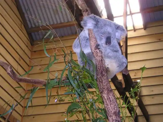 原图欣赏-太平洋摄影部落