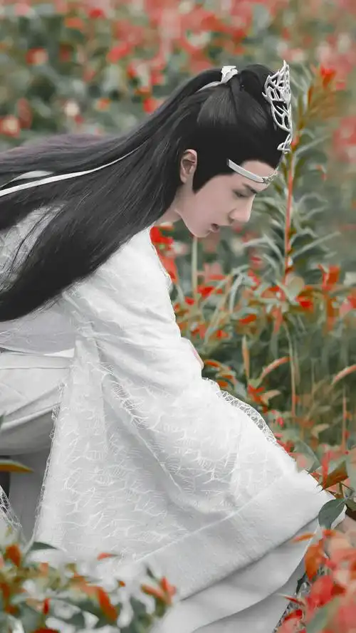 陈情令蓝忘机问灵十三载等一不归人