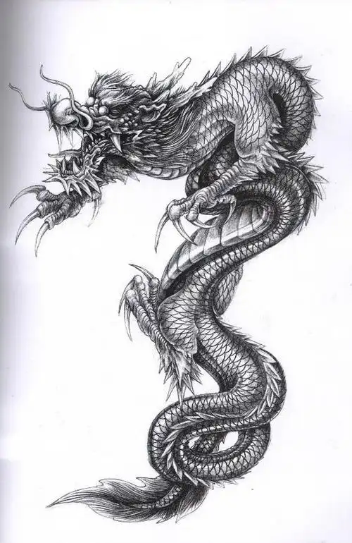 多款帅气的黑灰色龙纹身图案手稿