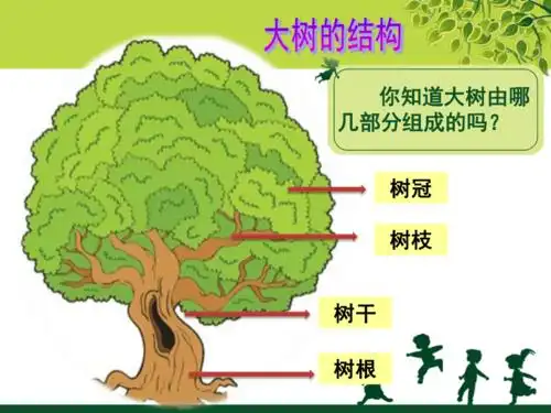 冀美版一年级下册美术第19课大树的故事课件共18张ppt