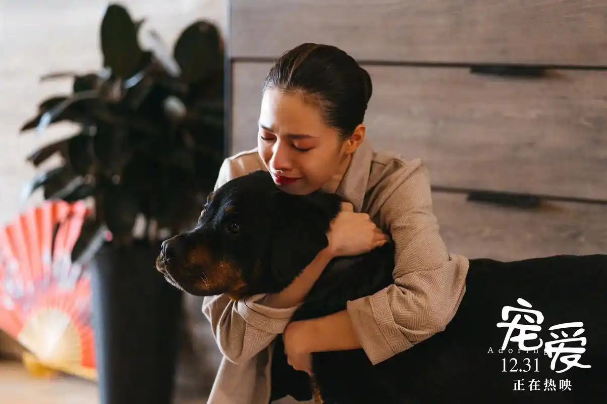 电影宠爱# 陈伟霆,钟楚曦故事线的新剧照,钟楚曦与豪七之间"谁最拔乙