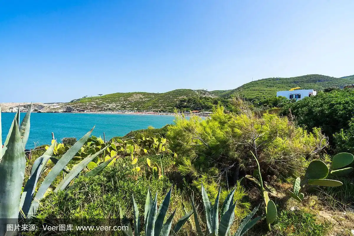 意大利阿普利亚佩希奇附近的地中海景观和植被