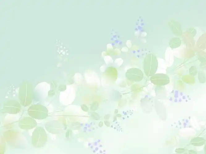 淡雅系唯美花卉背景图片素材精选分享