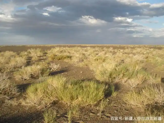 不用出国也能看到澳大利亚半荒漠草原风光