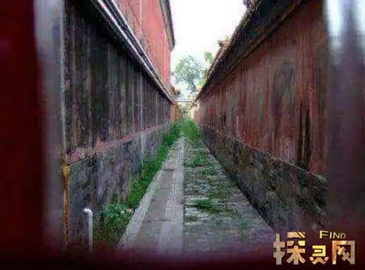 故宫三处不宜拍照竟然与鬼魂相关冷宫阴阳道连理树