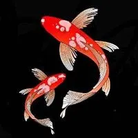 2020带来好运的头像女人_微信头像图片大全