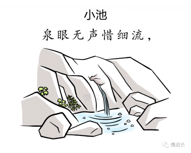 童年的夏天,都在早有蜻蜓立上头的《小池》中!(附思维导图)