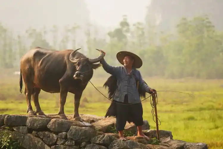 最美梯田云上来(2020.5.24~5.30)