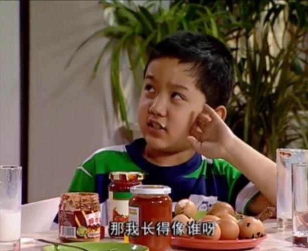 家有儿女出镜美食看到刘星吐槽高乐高才发现是个有钱人家