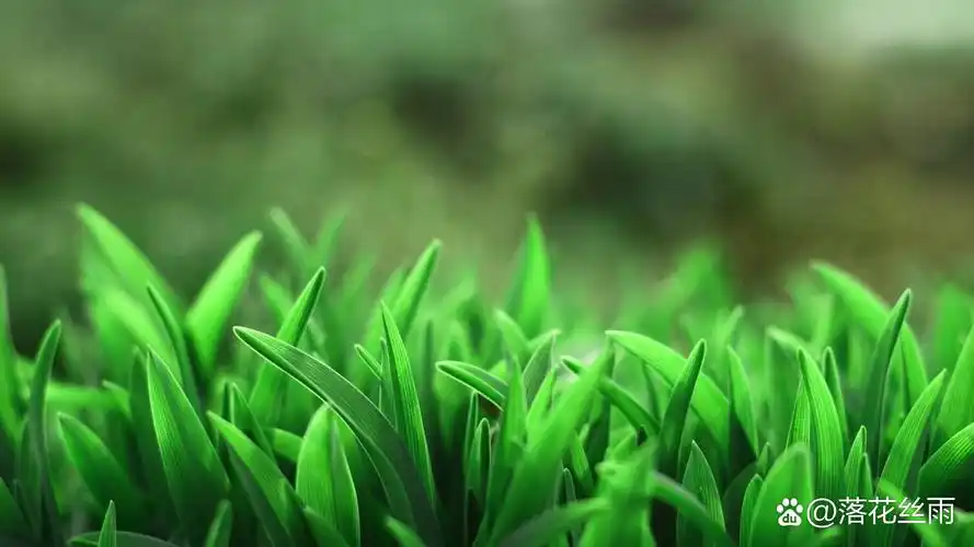 踏踏实实,和同事的关系也比1920*1080电脑桌面高清壁纸绿色电脑桌面