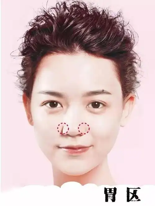 胃的报警区在鼻翼