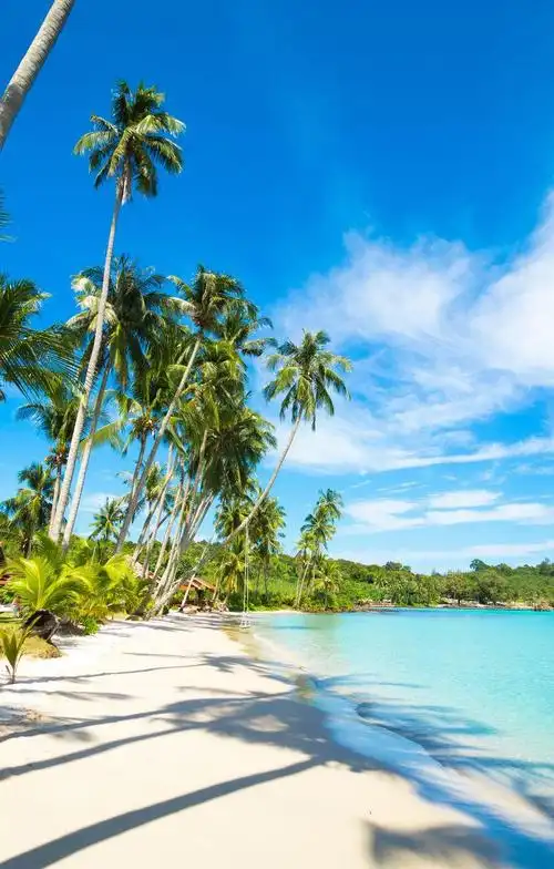 热带海滩风景图片-热带海滩上的浪漫舒适吊床素材-高清图片-摄影照片