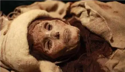 千年不腐烂的女尸 干尸湿尸鞣尸