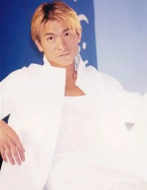 2000年,刘德华凭借《暗战》,成为21世纪第一个金像奖影帝