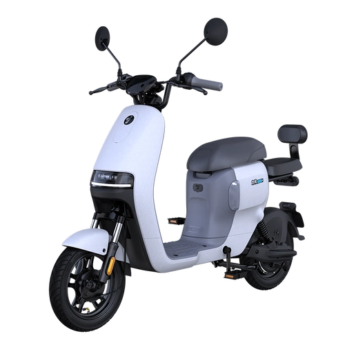 ninebot九号电动锦鲤a30c 电动自行车【门店自提】9号真智能电动车