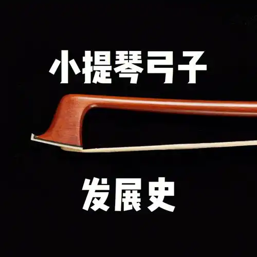 为什么提琴弓子长这个样