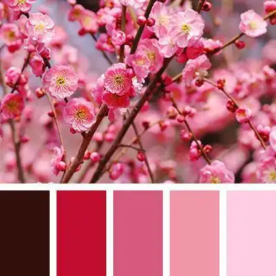 红色配色方案-感觉就是愉悦