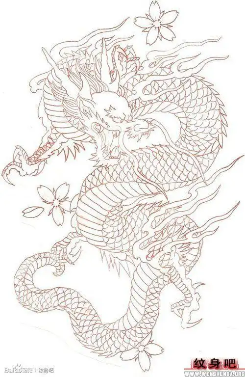 男人满背线条龙纹身手稿