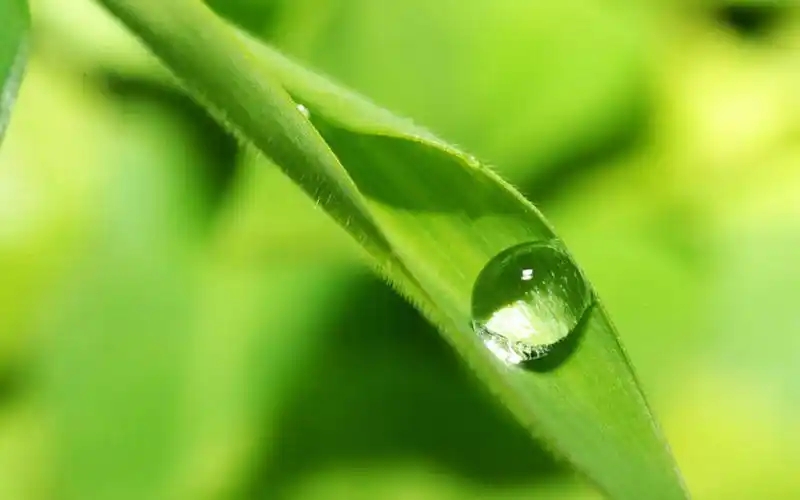 有时候都把属兔的人搞蒙了,他们觉得一天过的非常神奇,如此好运赶快去