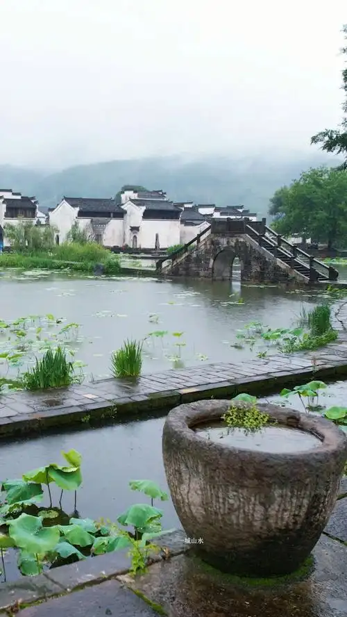 或许这就是中国人才能懂的意境吧,属于江南水乡的中式美学!